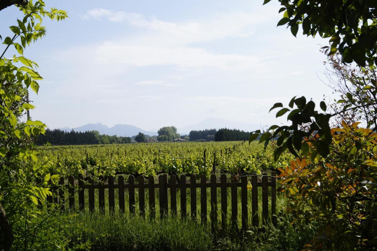 Mas Du Clos De L'Escarrat Jonquieres  Zewnętrze zdjęcie