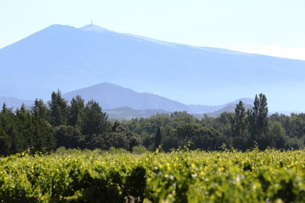 Mas Du Clos De L'Escarrat Jonquieres  Zewnętrze zdjęcie
